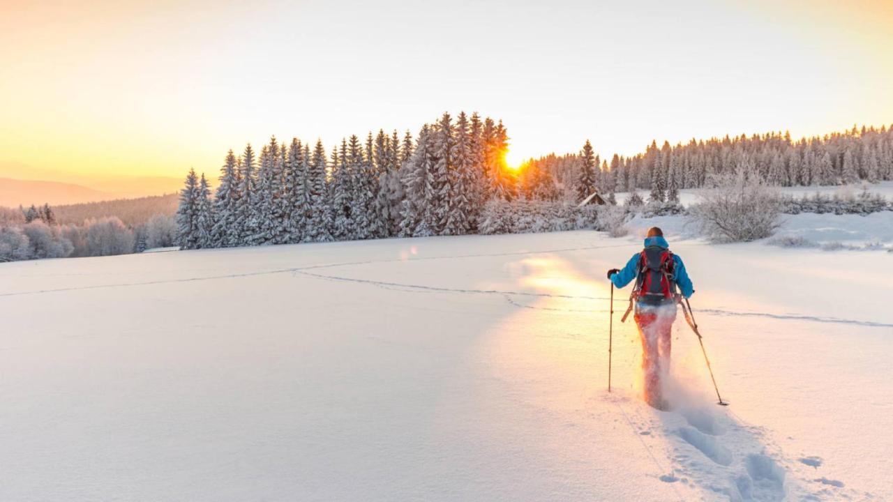 Chambre Privee Au Pied Des Pistes - Chambre Chez L'Habitant - Chaletnelda Com Ламура Экстерьер фото