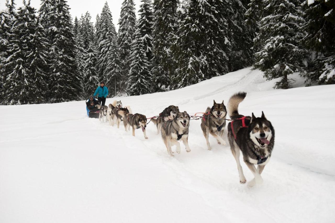 Chambre Privee Au Pied Des Pistes - Chambre Chez L'Habitant - Chaletnelda Com Ламура Экстерьер фото