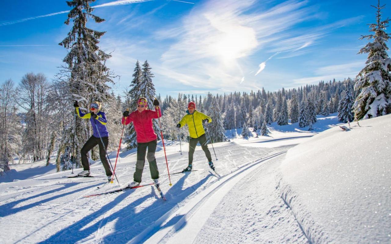 Chambre Privee Au Pied Des Pistes - Chambre Chez L'Habitant - Chaletnelda Com Ламура Экстерьер фото